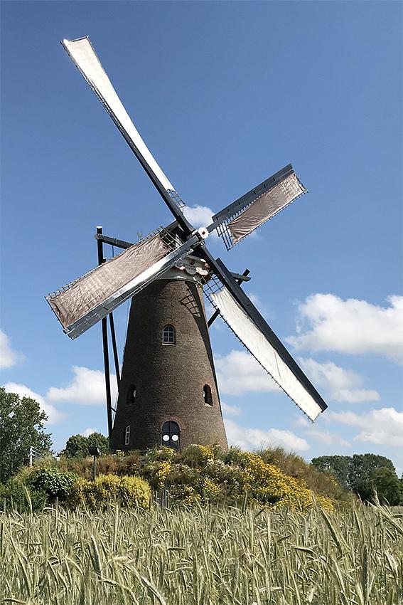 Molen 02604 De Roosdonck (Nuenen), Mario Collombon (13-6-2020) | Database Nederlandse molens