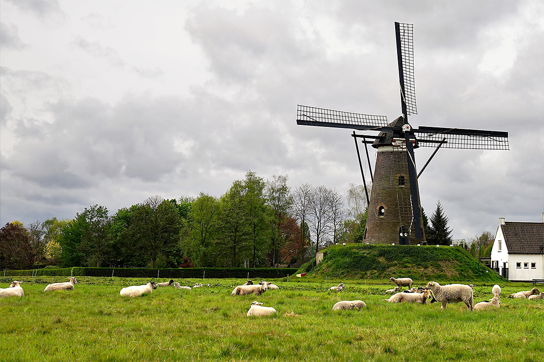 1, Molen 02604 De Roosdonck (Nuenen), Gerard (1-5-2017) | Database Nederlandse molens