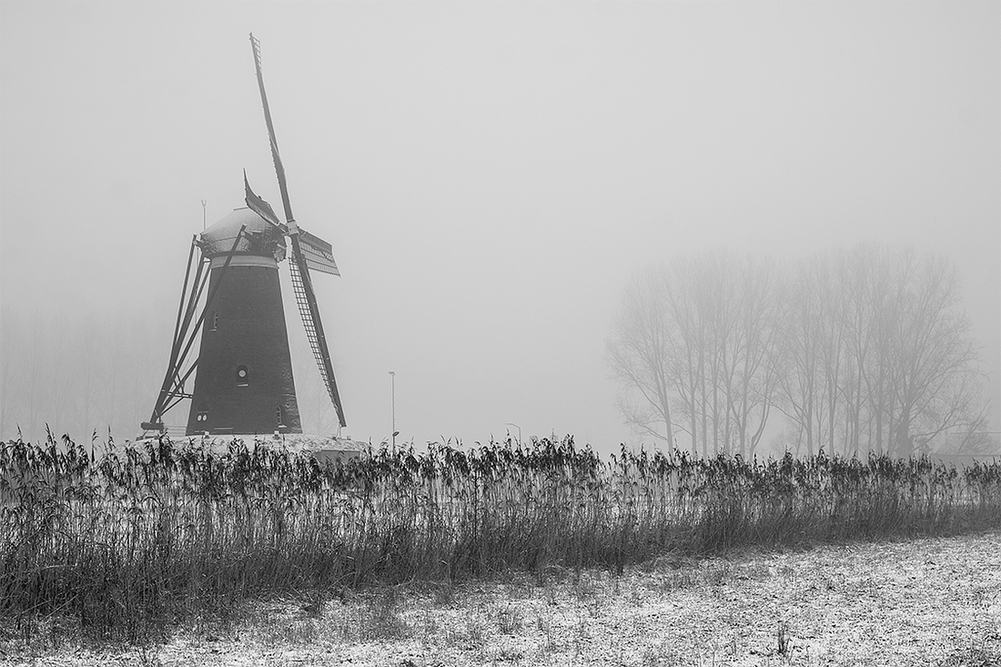 5, Molen 02604 De Roosdonck (Nuenen), Marcel van Nies (24-1-2017) | Database Nederlandse molens