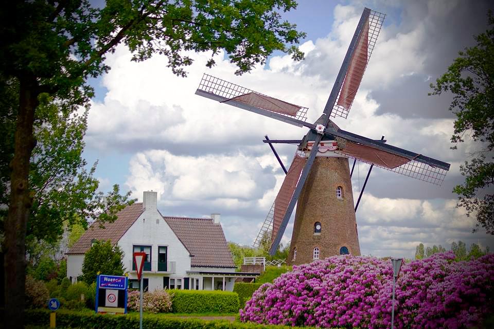 6, Molen 02604 De Roosdonck (Nuenen), Frank van Welie (23-05-2015) | Database Nederlandse molens