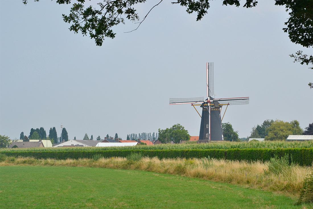 4, Molen 01966 De Vooruitgang (Oeffelt), Rob Pols (27-7-2019)De landschappelijke ligging is erg fraai. | Database Nederlandse molens