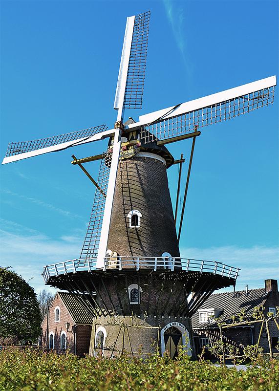 Molen 02616 De Korenaar (Oirschot), Roelof Kluijtmans (21-4-2016) | Database Nederlandse molens
