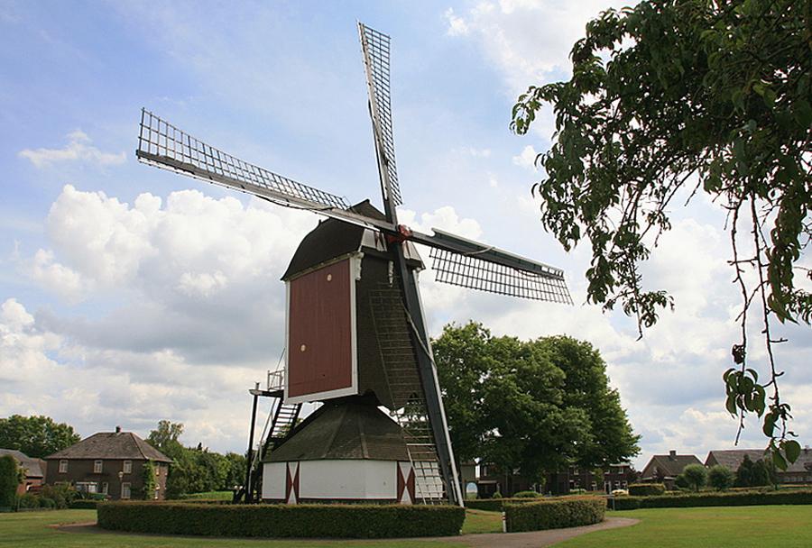 1, Molen 01951 De Korenbloem (Oploo), John Scholte (29-7-2013). | Database Nederlandse molens