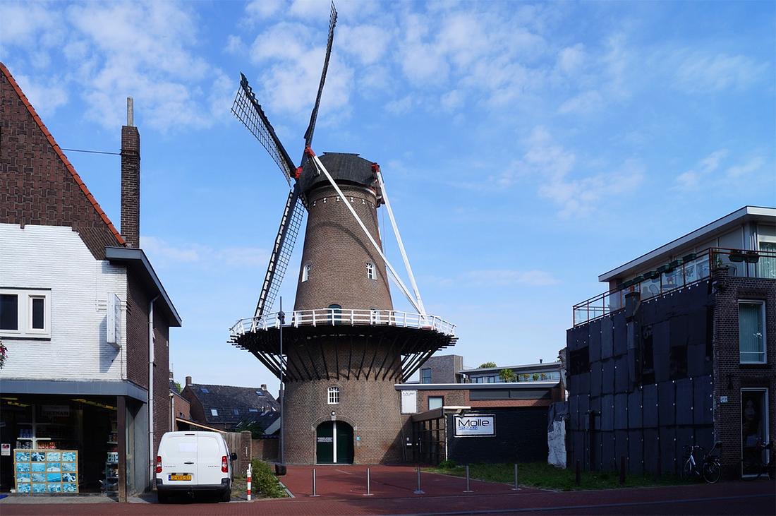 1, Molen 02588 Zeldenrust / De Zwaluw (Oss), Boukje van Leijen (1-8-2015) | Database Nederlandse molens
