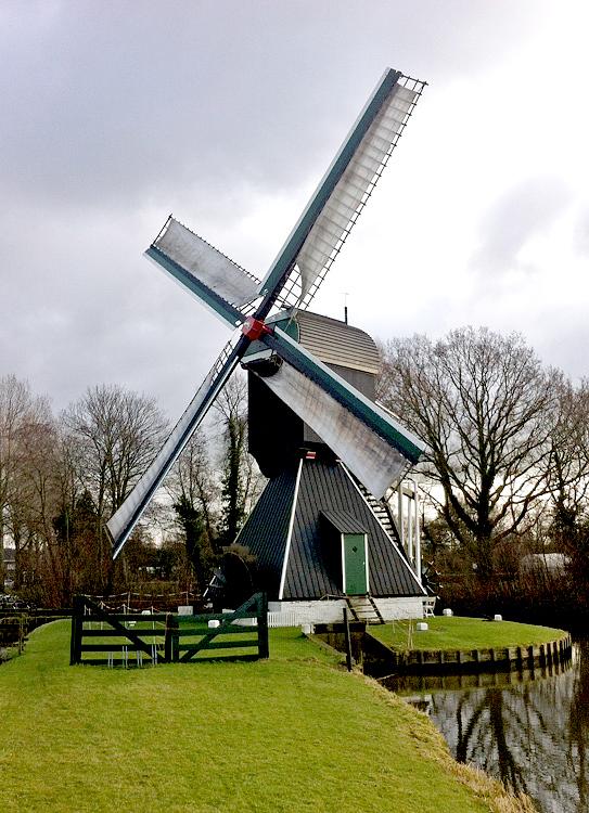 Molen 00361 Schoterveense molen (Haarlem), Pedro Germes (1-2-2015) | Database Nederlandse molens
