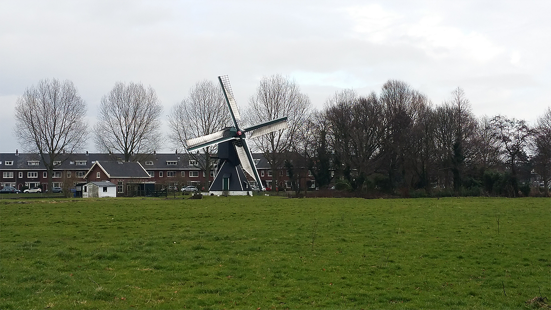 6, Molen 00361 Schoterveense molen (Haarlem), Pedro Germes (29-1-2017)Een foto die de redelijk slechte biotoop van de molen weergeeft. De foto is vanuit zuidwestelijke richting genomen kijkend naar het noordoosten. | Database Nederlandse molens