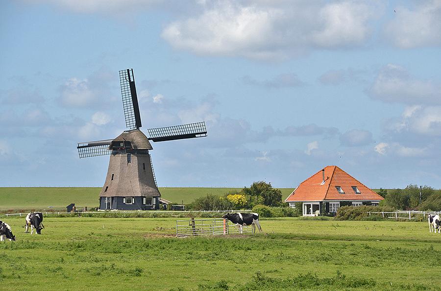 3, Molen 01628 Hargermolen (Schoorl), Rob Pols (13-8-2014)Fantastische biotoop van deze molen. Op de achtergrond de zeewering, zo dichtbij de kust. | Database Nederlandse molens