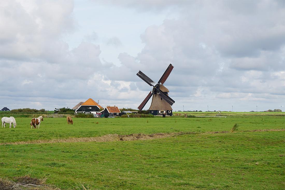 4, Molen 01628 Hargermolen (Schoorl), Abel van Loenen (12-9-2021) | Database Nederlandse molens