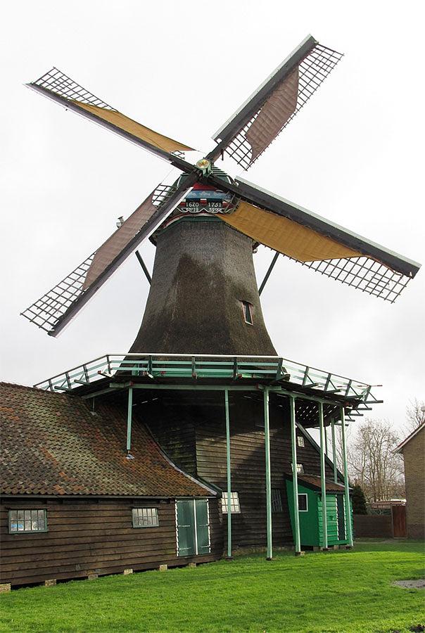 5, Molen 01060 Het Pink (Koog aan de Zaan), Abel van Loenen (11-1-2019)De molen met okergele en buine winterzeilen. | Database Nederlandse molens