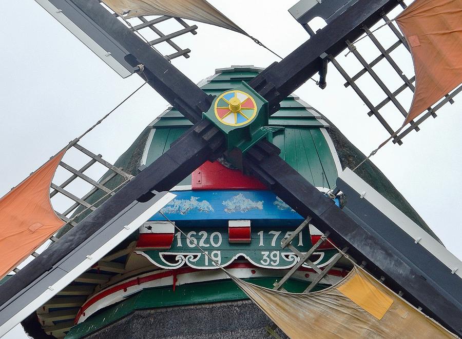 6, Molen 01060 Het Pink (Koog aan de Zaan), Tony Hop (23-5-2015)De baard van de molen met de typische Zaanse windpeluw op (blauw met wolkjes). Ook zijn de windborden nu zwart i.p.v. groen, zoals voorheen. | Database Nederlandse molens