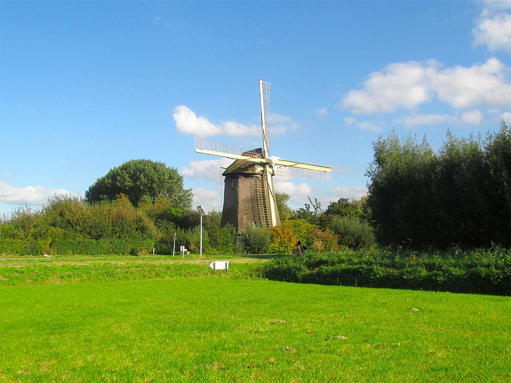 1, Molen 00005 Gabriël / Voorste Molen (Kortenhoef), Geen ideale biotoop voor een grondzeiler!  Piet Glasbergen (4-10-2016) | Database Nederlandse molens