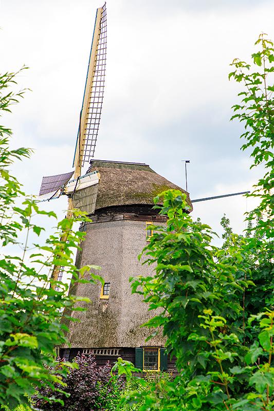 5, Molen 00005 Gabriël / Voorste Molen (Kortenhoef), Frank Hendriks (6-6-2019) | Database Nederlandse molens