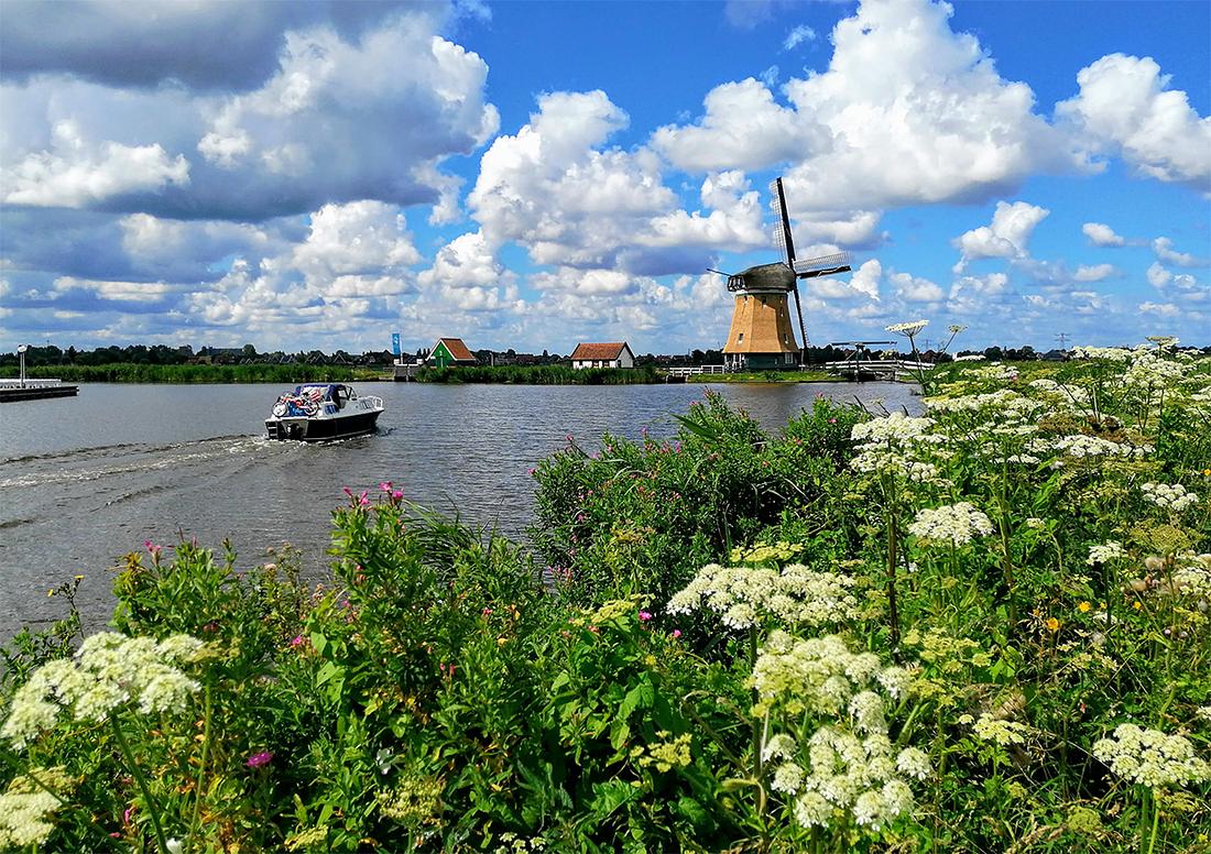 7, Molen 00028 De Woudaap (Krommeniedijk), Hennie Boersma (21-7-2020) | Database Nederlandse molens