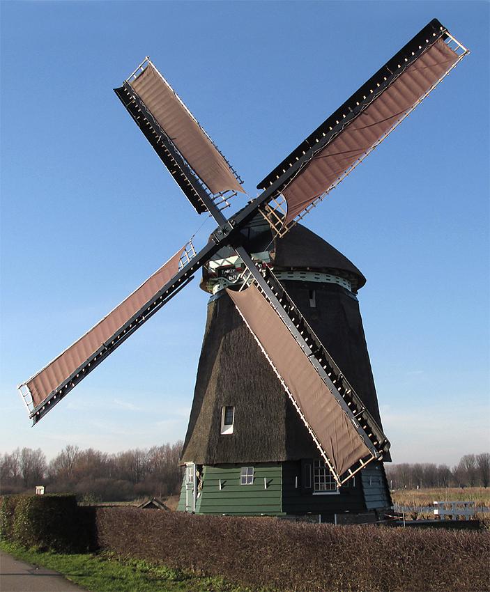 Molen 10694 Twiskemolen (Landsmeer), Piet Glasbergen (19-1-2019) | Database Nederlandse molens