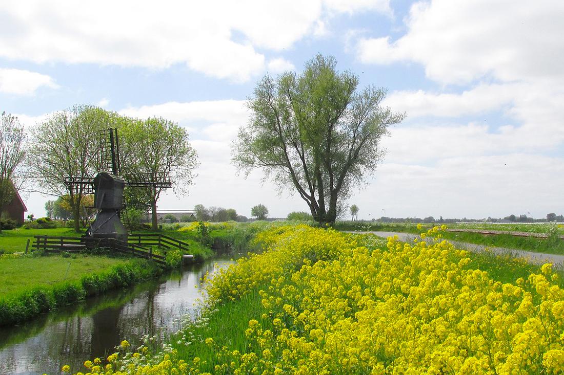 4, Molen 10050 Klikjesmolen (Midwoud), Piet Glasbergen (15-5-2015) | Database Nederlandse molens