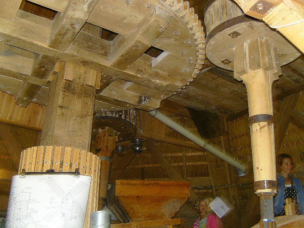 10, Molen 00170 De Otter (Oterleek), Julius Meijer (2-9-2012). | Database Nederlandse molens