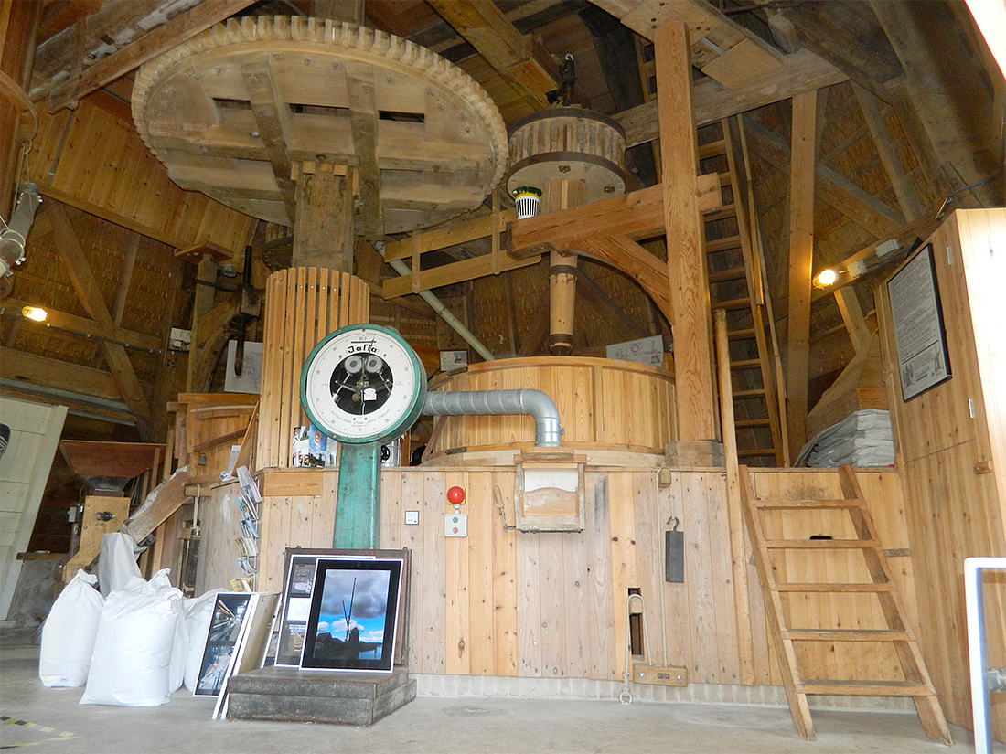 12, Molen 00170 De Otter (Oterleek), Vincent Mepschen (28-5-2017) | Database Nederlandse molens