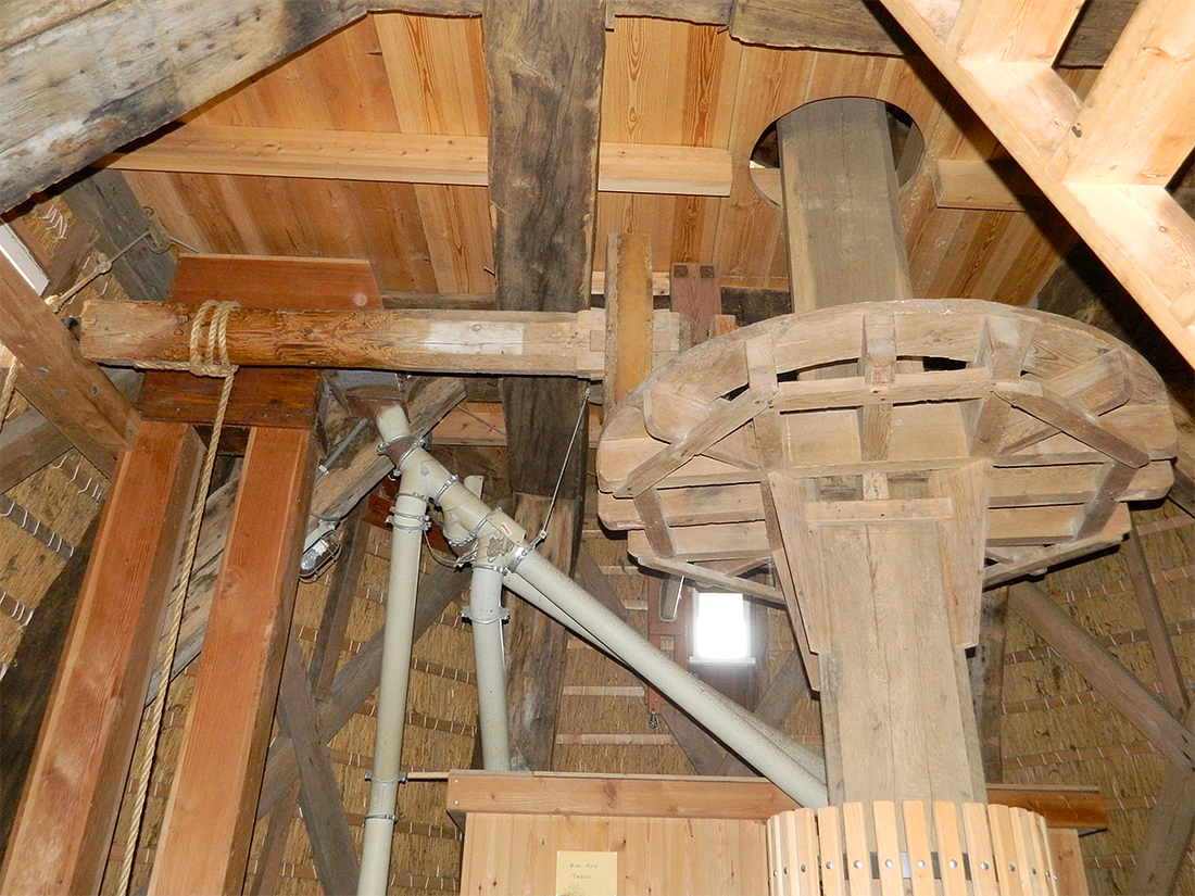 13, Molen 00170 De Otter (Oterleek), Vincent Mepschen (28-5-2017) | Database Nederlandse molens