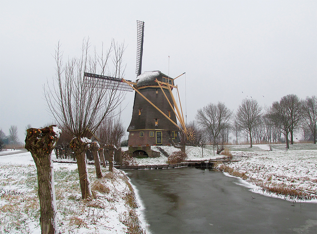 5, Molen 00280 De Zwaan (Ouderkerk aan de Amstel), Piet Glasbergen (11-2-2017) | Database Nederlandse molens