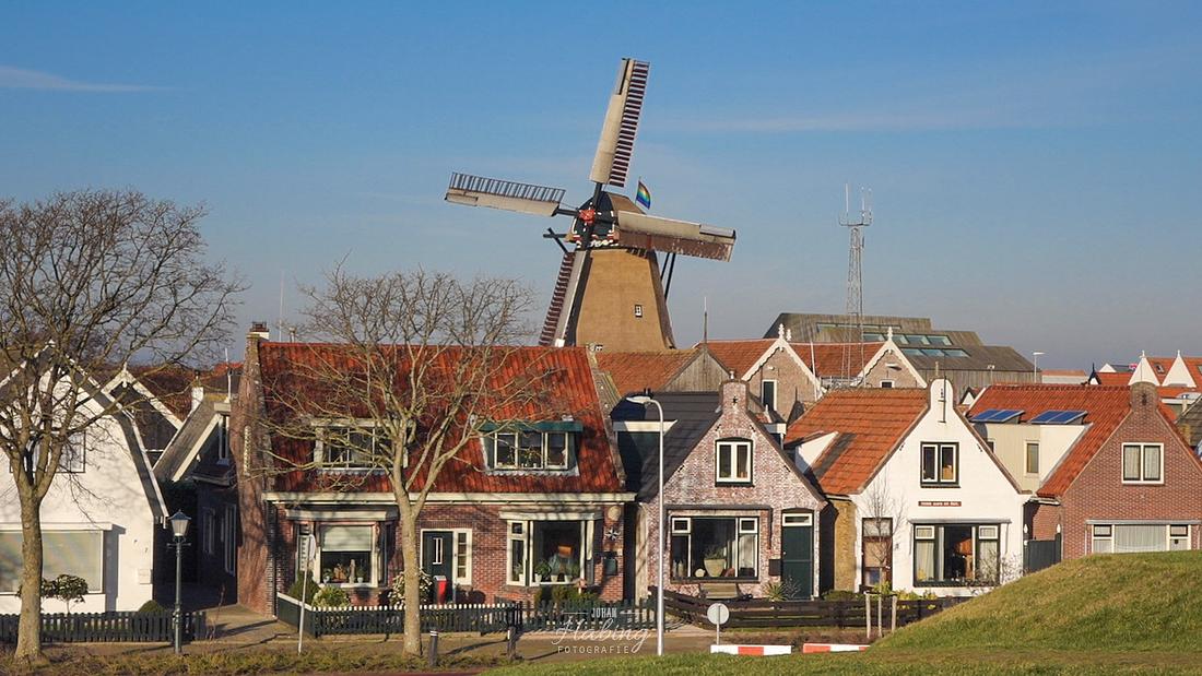 9, Molen 01639 De Traanroeier (Oudeschild), Johan Habing (19-01-2019)De Traanroeier met regenboogvlag. | Database Nederlandse molens