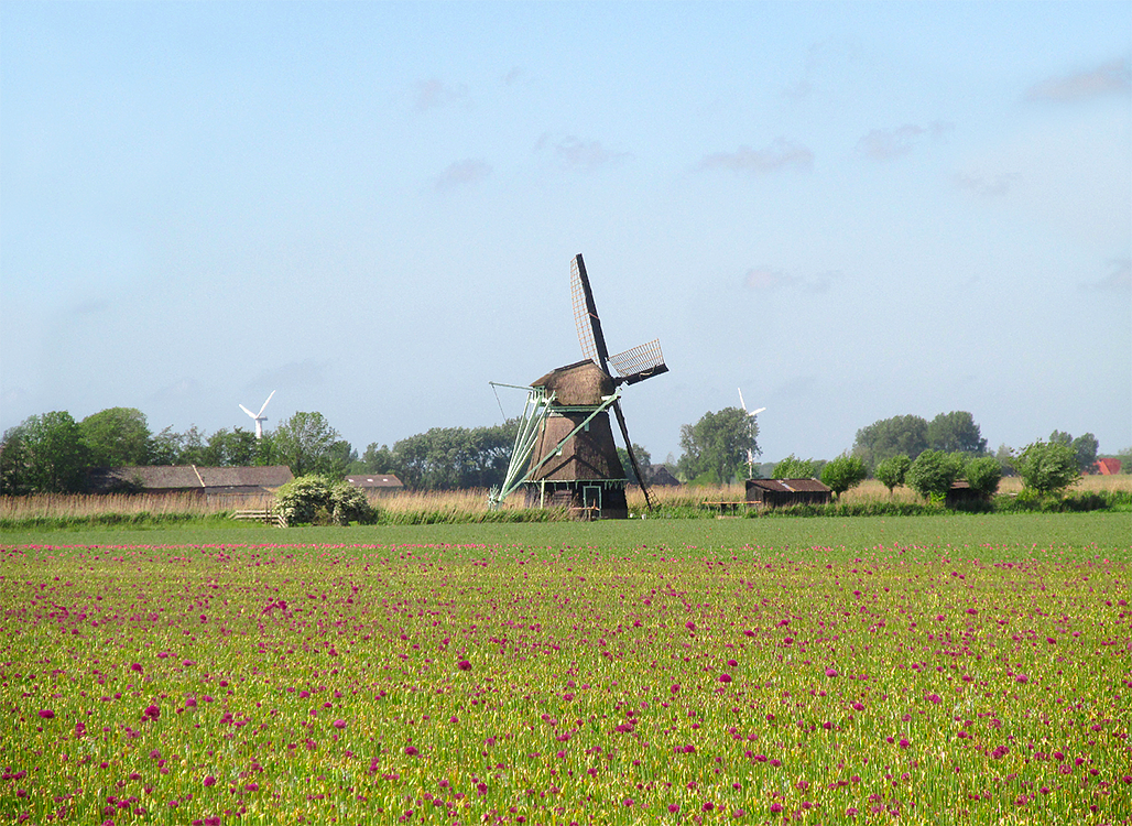4, Molen 02552 Molen P (Oudesluis), Piet Glasbergen (25-5-2017) | Database Nederlandse molens