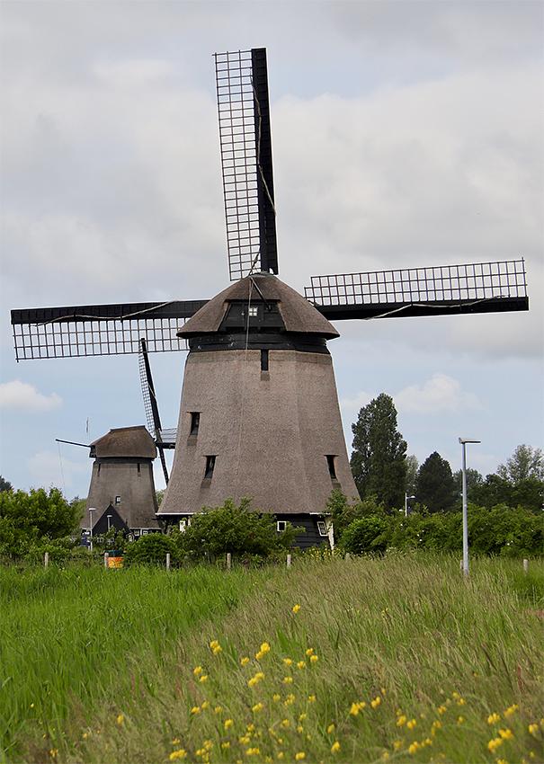 2, Molen 00797 Strijkmolen D (Zes Wielen) (Oudorp), Tom Kreuning (25-5-2019) | Database Nederlandse molens