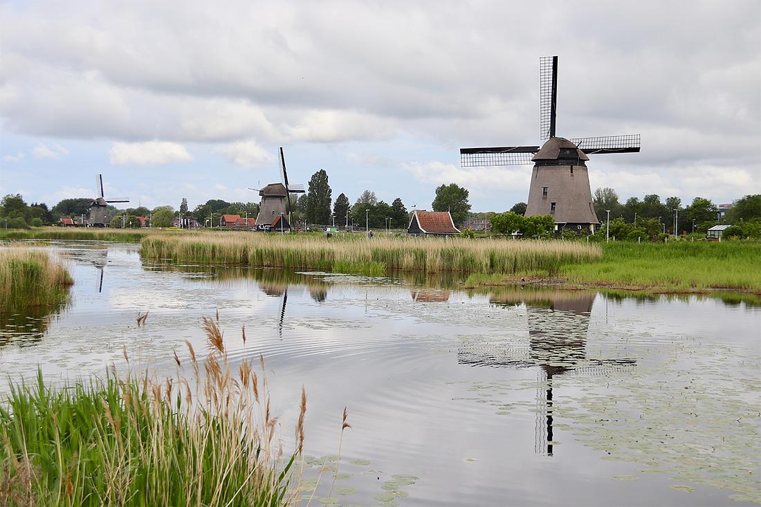 4, Molen 00797 Strijkmolen D (Zes Wielen) (Oudorp), Tom Kreuning (25-5-2019) | Database Nederlandse molens