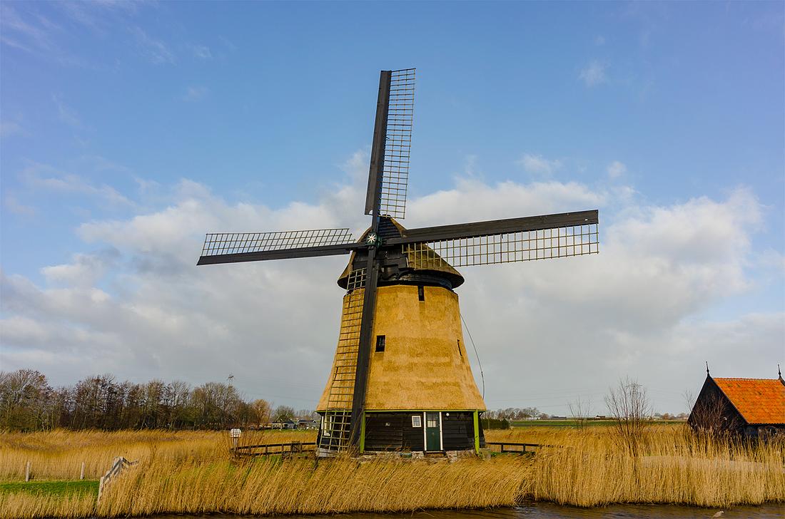 2, Molen 00168 Strijkmolen I (Oterleek), Richard van den Berg (8-1-2019)Molen voorzien van nieuw riet. | Database Nederlandse molens
