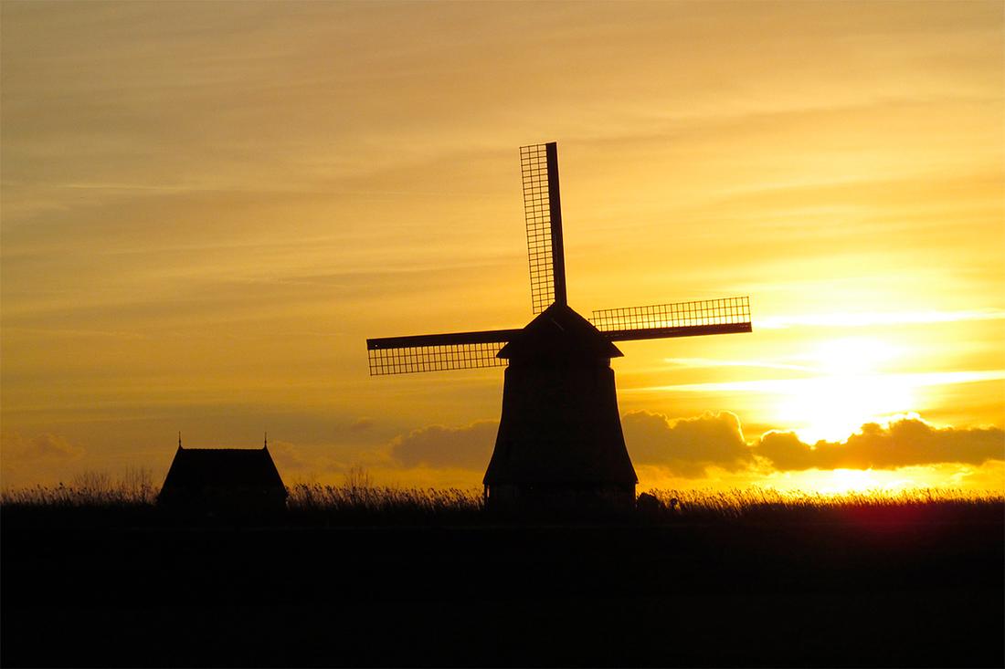 8, Molen 00168 Strijkmolen I (Oterleek), Piet Glasbergen (9-1-2019) | Database Nederlandse molens