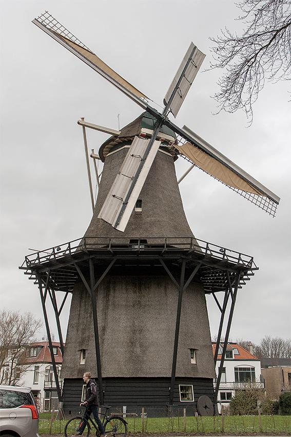 Molen 00362 De Zandhaas (Santpoort), Bram Westerink (15-2-2020) | Database Nederlandse molens