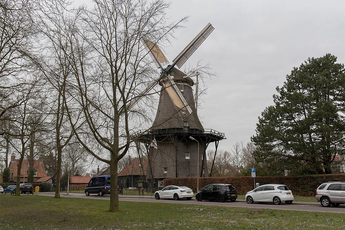 1, Molen 00362 De Zandhaas (Santpoort), Bram Westerink (15-2-2020) | Database Nederlandse molens