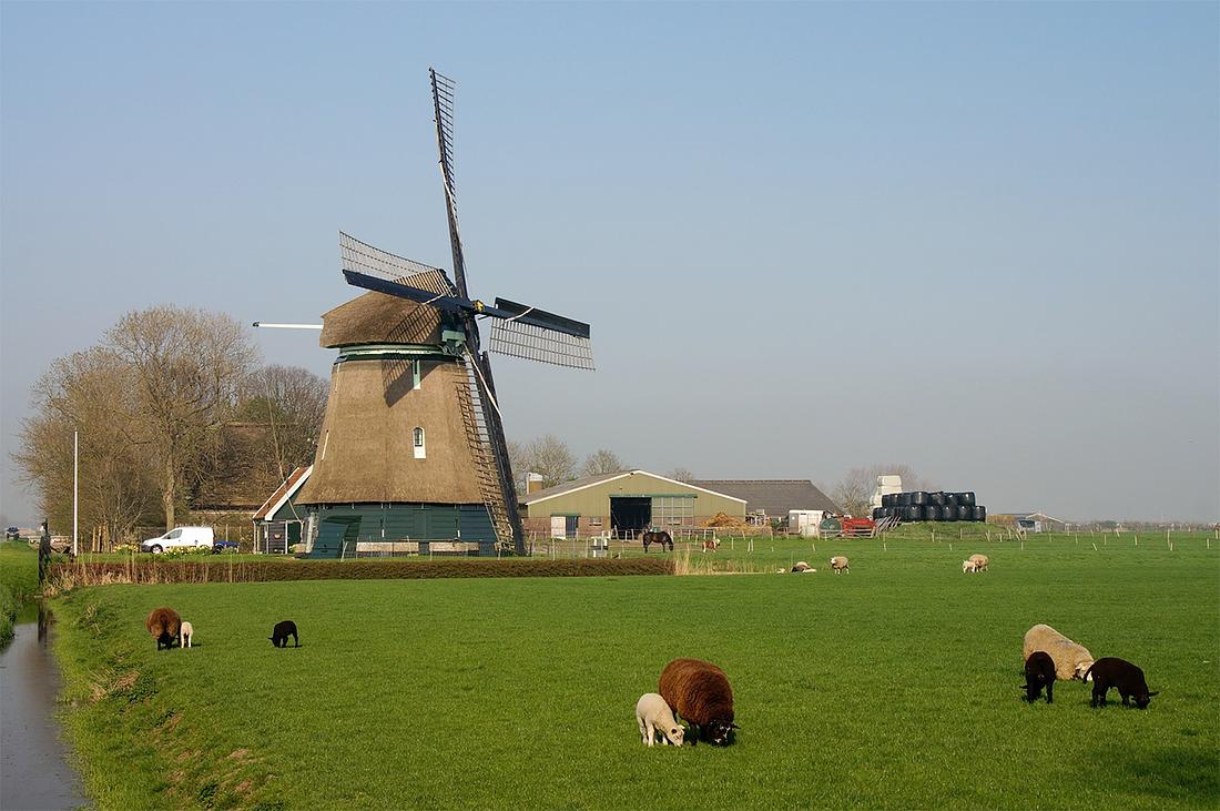 1, Molen 02551 Molen D (Schagerbrug), Boukje van Leijen (20-4-2018) | Database Nederlandse molens