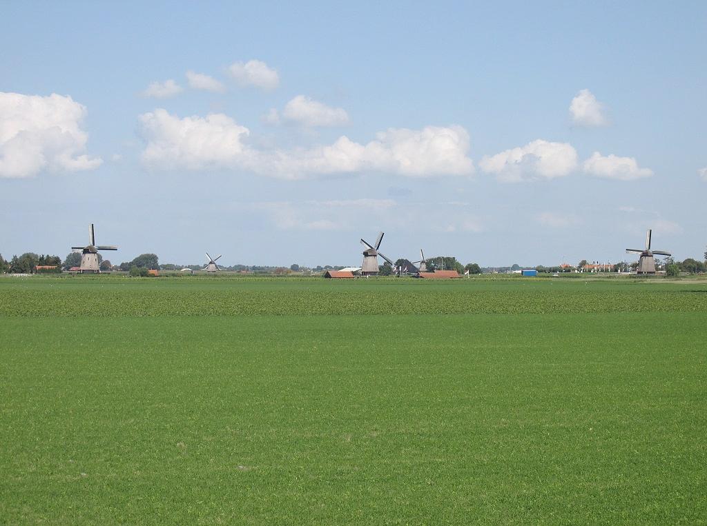 4, Molen 00129 Ondermolen D (Museummolen) (Schermerhorn), Abel van Loenen (2-9-2018)Vijf Schermermolens met in het midden de Museummolen. | Database Nederlandse molens