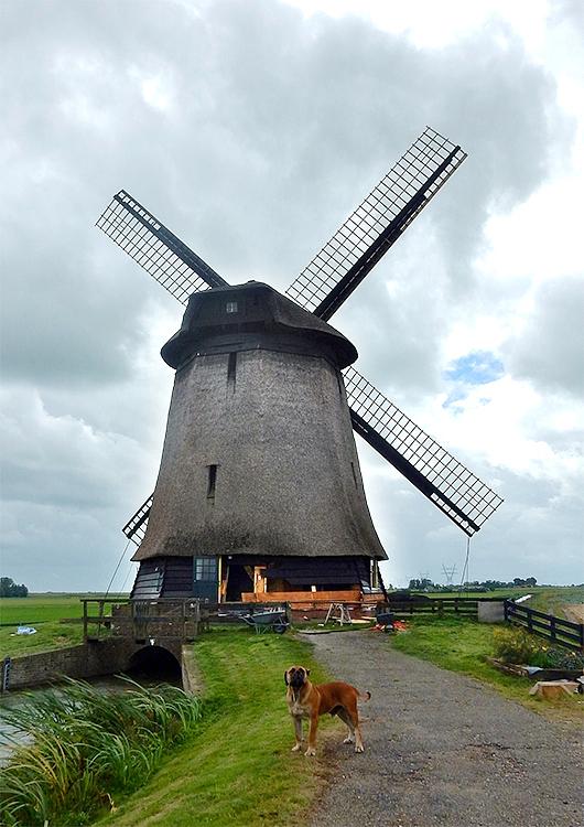 2, Molen 00160 Poldermolen O (Schermerhorn), Tony Hop (4-9-2016) | Database Nederlandse molens
