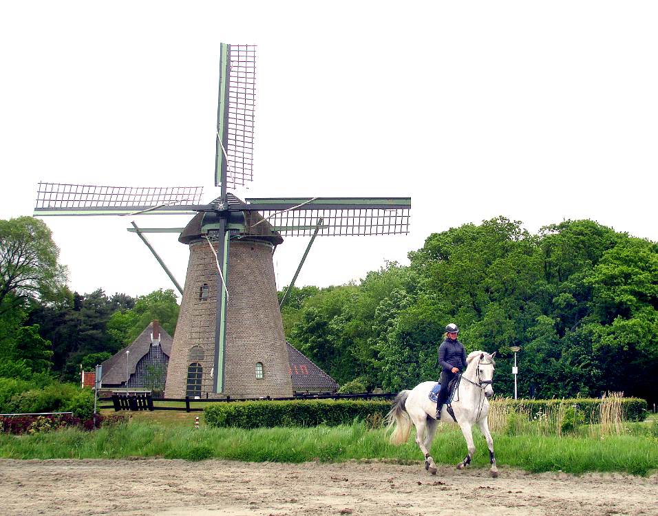 2, Molen 04146 Kijkduin (Schoorl), Piet Glasbergen (19-5-2017) | Database Nederlandse molens