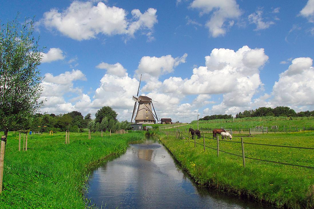 1, Molen 00943 Stommeermolen (Aalsmeer), Piet Glasbergen (2-7-2016) | Database Nederlandse molens