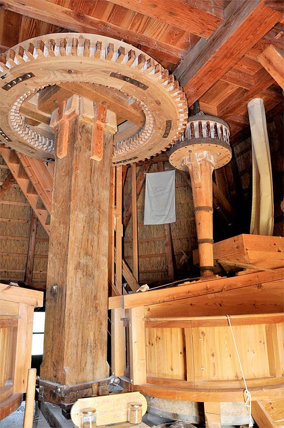 10, Molen 10671 De Oude Knegt (Akersloot), Jan de Goede (19-9-2018) | Database Nederlandse molens