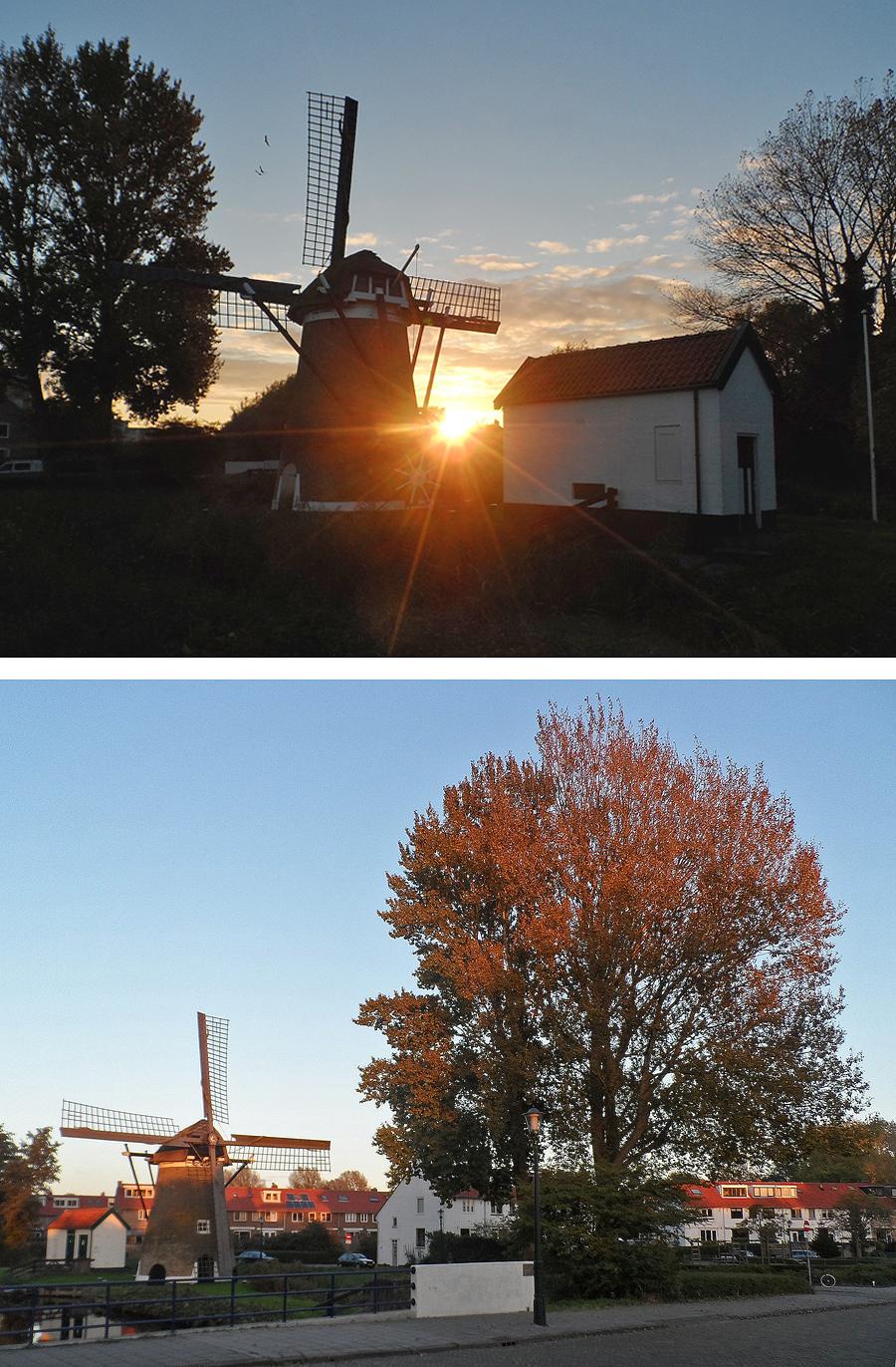 6, Molen 00800 De Eendracht (Alkmaar), Iets klopt hier totaal niet, te veel bomen rond de molen!  Julius Meijer (11-10-2014). | Database Nederlandse molens