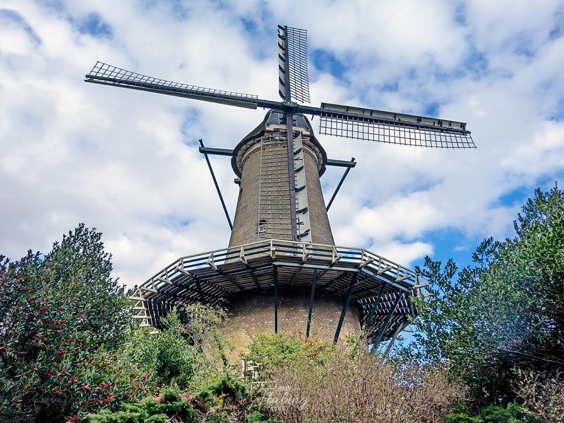 5, Molen 00039 De Groot / Molen van Piet (Alkmaar), Johan Habing (26-10-2018) | Database Nederlandse molens