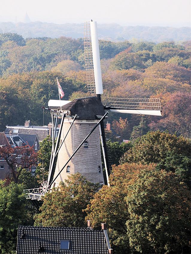 6, Molen 00039 De Groot / Molen van Piet (Alkmaar), Michiel Hooijberg (6-10-2018)Opname vanaf het dak van de Grote Kerk. | Database Nederlandse molens