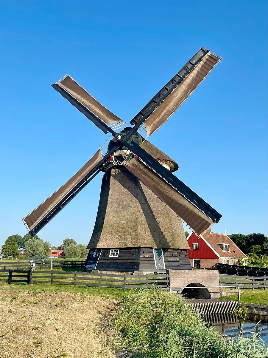 Molen 01082 De Viaan (Alkmaar), William Bouter (15-6-2023)De molen in bedrijf met op de achtergrond de karakteristieke molenaarswoning | Database Nederlandse molens