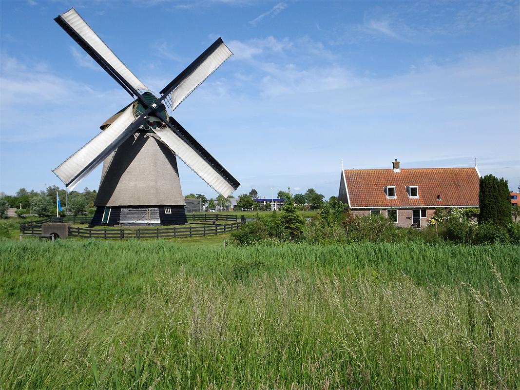 1, Molen 01082 De Viaan (Alkmaar), Louis Maas (3-6-2019) | Database Nederlandse molens