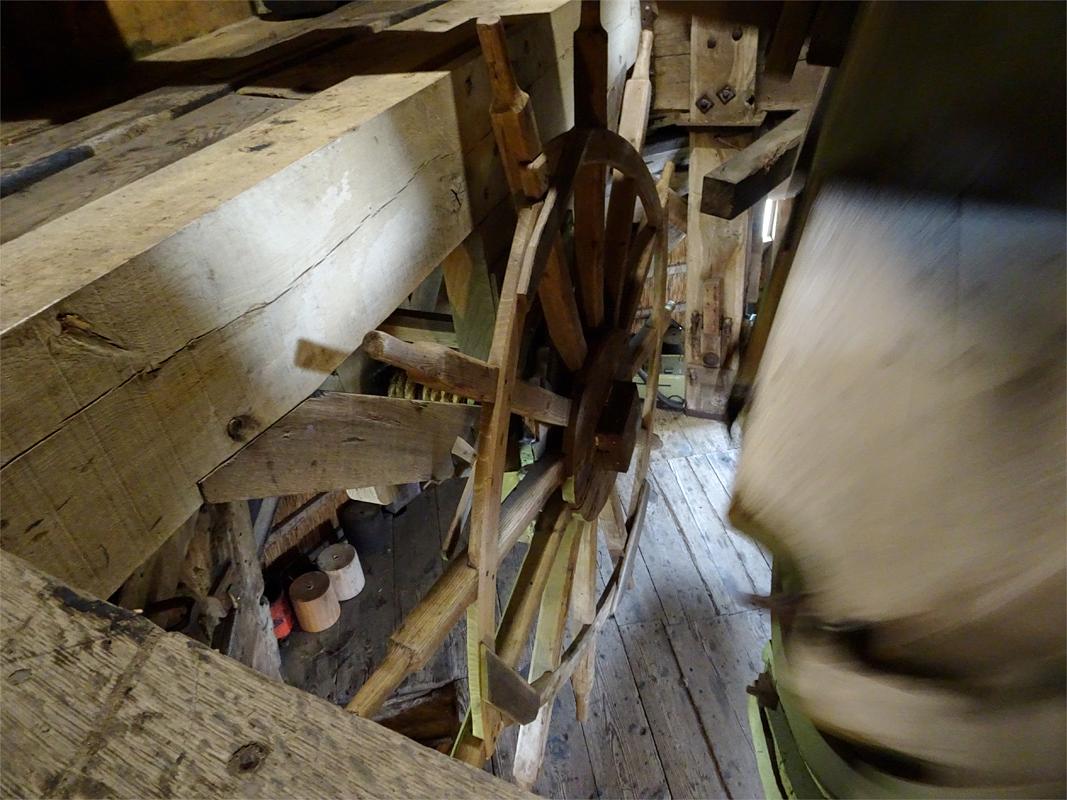 12, Molen 01082 De Viaan (Alkmaar), Louis Maas (3-6-2019) | Database Nederlandse molens