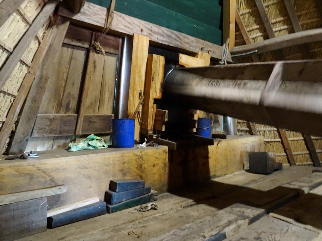 16, Molen 01082 De Viaan (Alkmaar), Louis Maas (3-6-2019) | Database Nederlandse molens