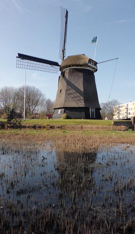 2, Molen 00360 Geestmolen (Alkmaar), Julius Meijer (26-3-2012) | Database Nederlandse molens