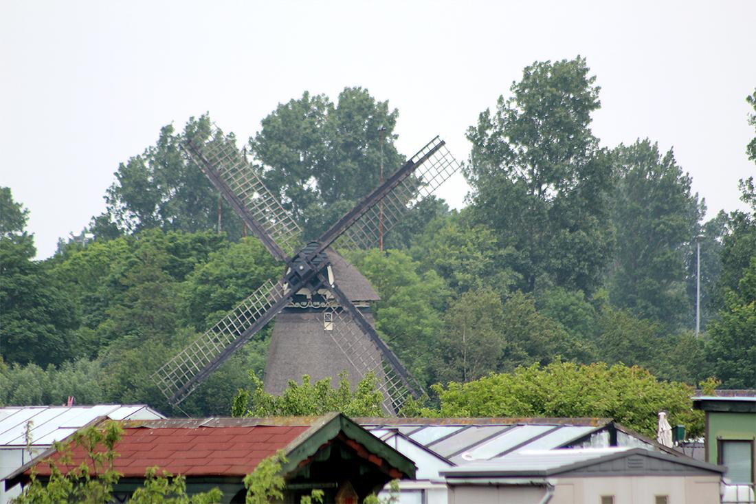 5, Molen 01102 Robonsbosmolen (Alkmaar), Julius Meijer (29-5-2016)Vanuit het noordoosten is de windvang minder door bomen. | Database Nederlandse molens