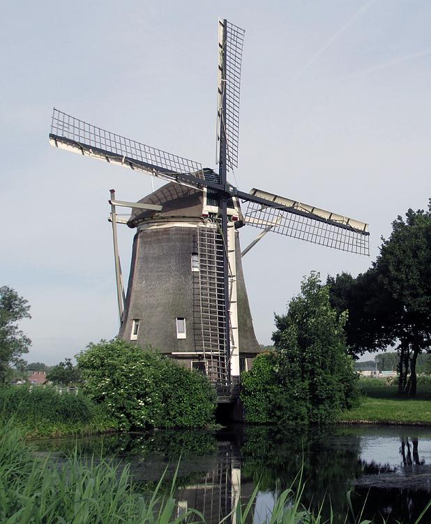 1, Molen 10136 De 1100 Roe (Amsterdam), Piet Glasbergen (17-6-2013). | Database Nederlandse molens