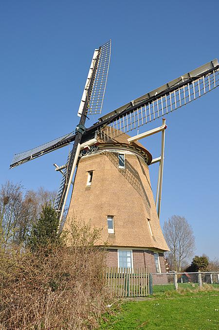 3, Molen 10136 De 1100 Roe (Amsterdam), De molen heeft pas nieuw riet gekregen.  Donald Vandenbulcke (22-3-2012).  | Database Nederlandse molens