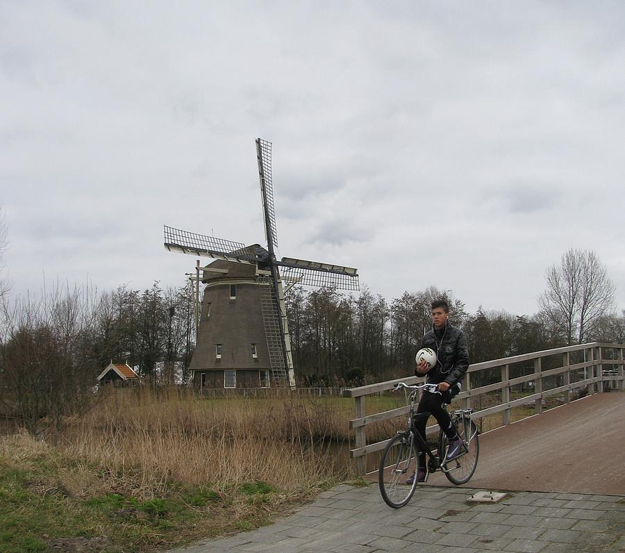 6, Molen 10136 De 1100 Roe (Amsterdam), Piet Glasbergen (3-3-2013) | Database Nederlandse molens