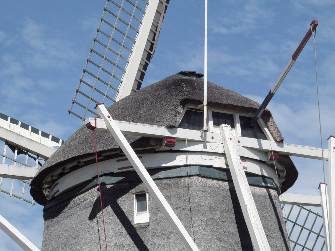6, Molen 00805 De 1200 Roe (Amsterdam), Piet Glasbergen (17-6-2013) | Database Nederlandse molens